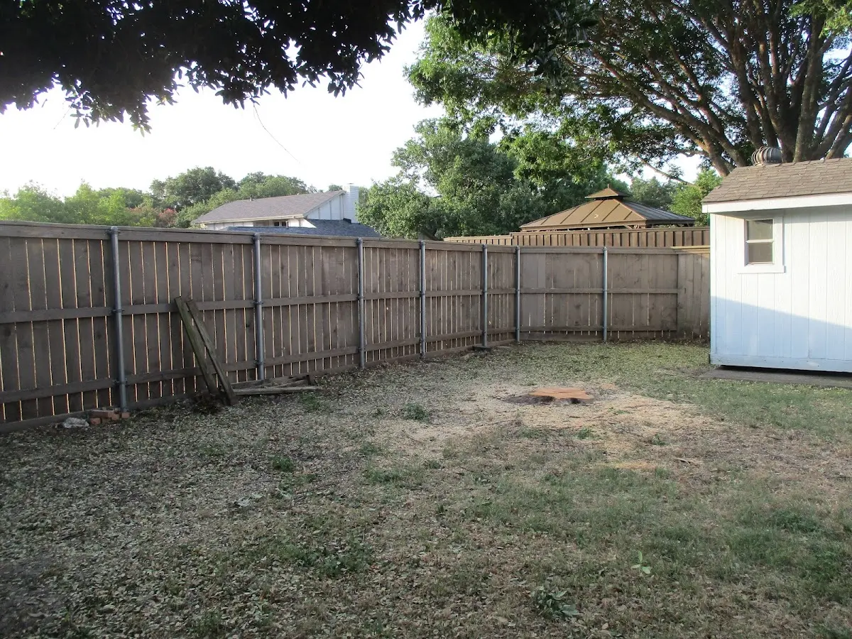 Cleared yard after professional tree removal in Rosemount